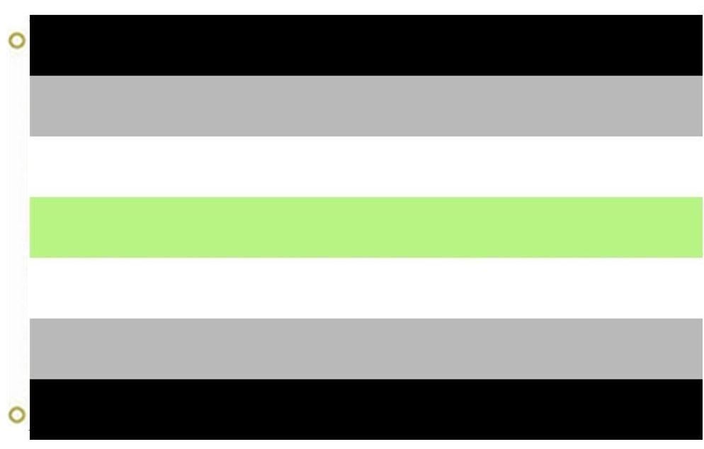 3 x 5 Foot Agender Flag - Pride is Love