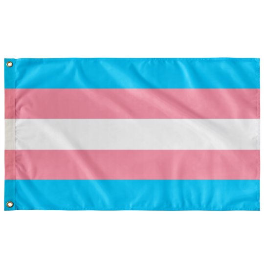 3 x 5 Foot Transgender Flag - Pride is Love