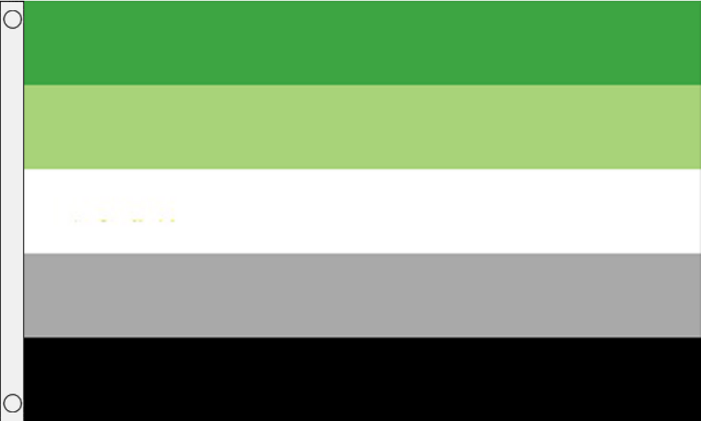 3 x 5 Foot Aromantic Flag - Pride is Love